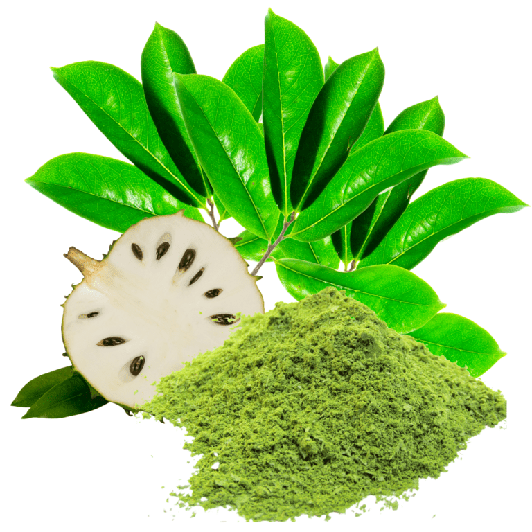 Soursop