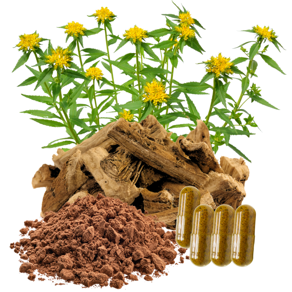 Holy Basil Powder