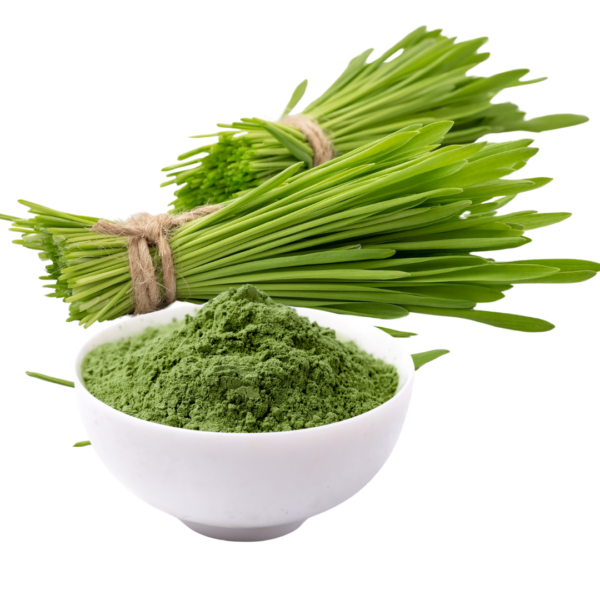 BARLEY GRASS POWDER