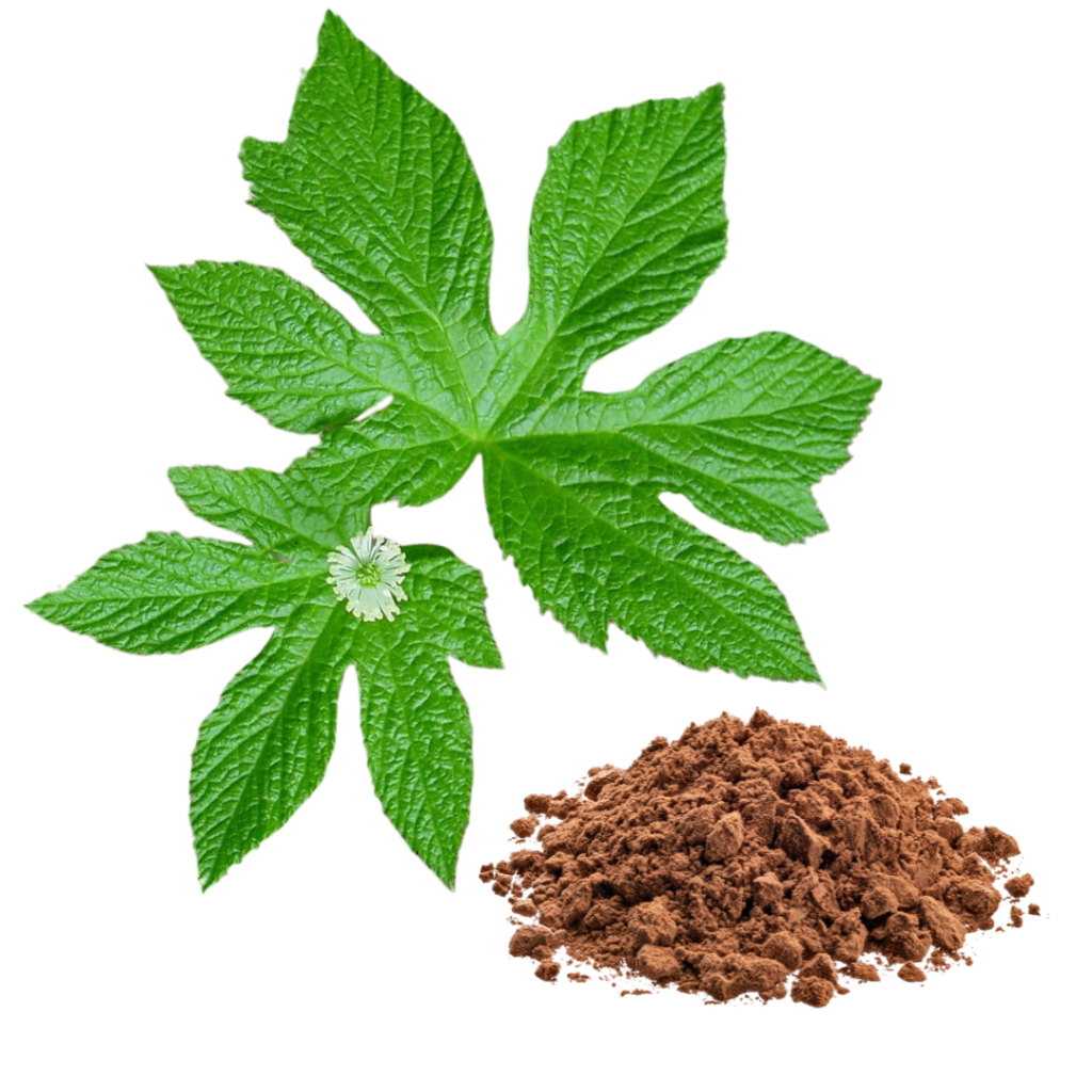 Berberine Extract