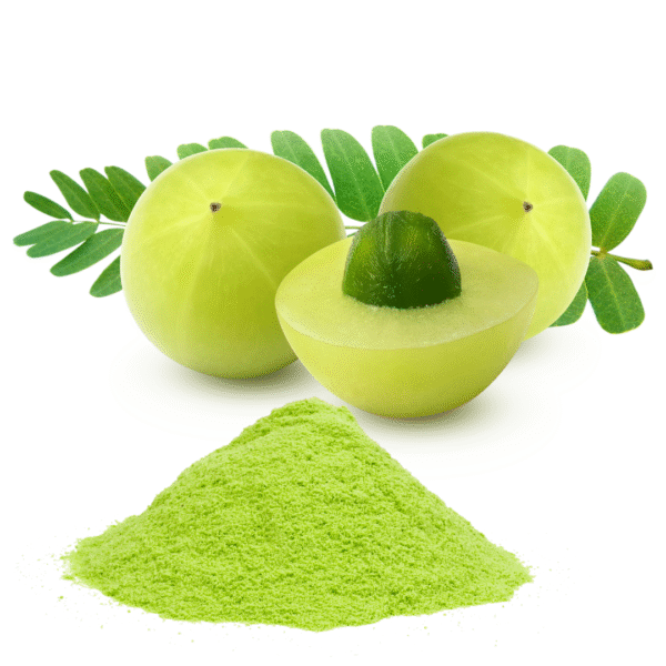 AMLA FRESH FRUIT POWDER