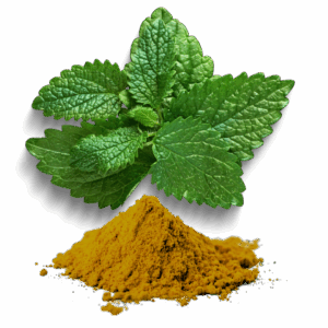 LEMON BALM EXTRACT - 250g(1 month supply)